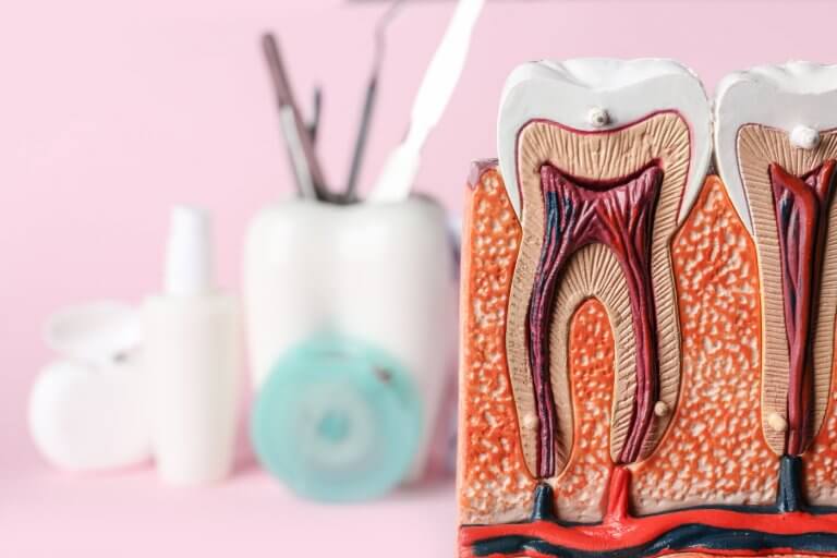 Was ist Zahnschmelz und wie kann ich verhindern dass er sich abbaut