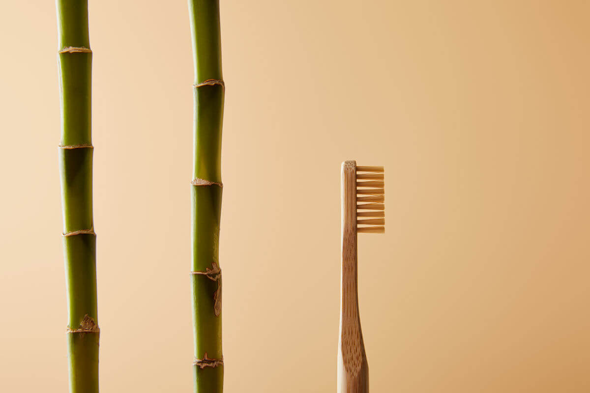 Di quali materiali sono fatti esattamente gli spazzolini di bambù